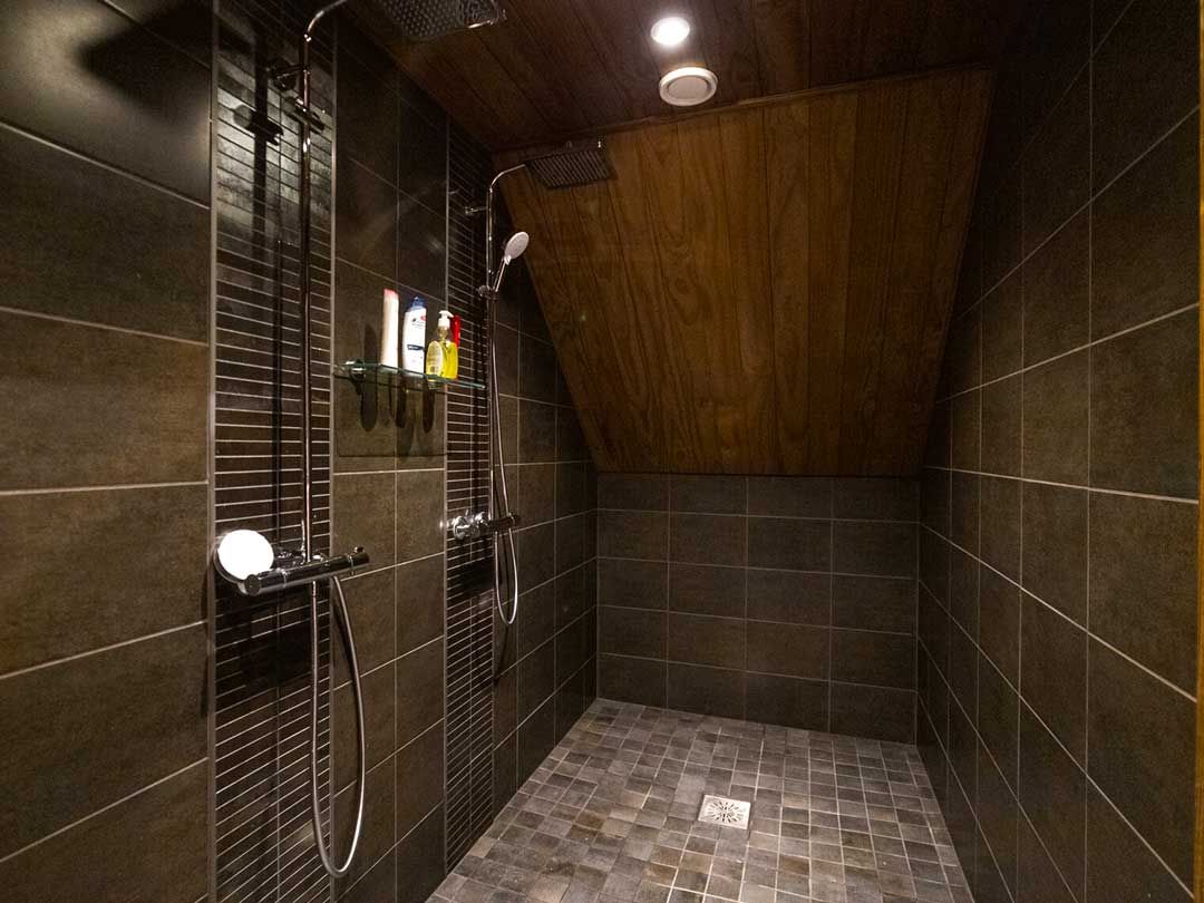 Shower room inside with dual shower heads, modern tiling and sloped ceiling.